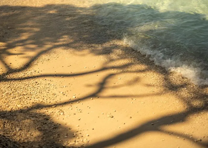 Ξενοδοχείο Places Dalmacija By Valamar 3*