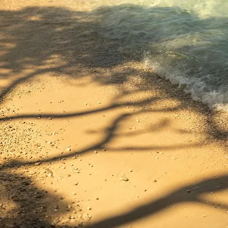 Hotel Places Dalmacija By Valamar 3*